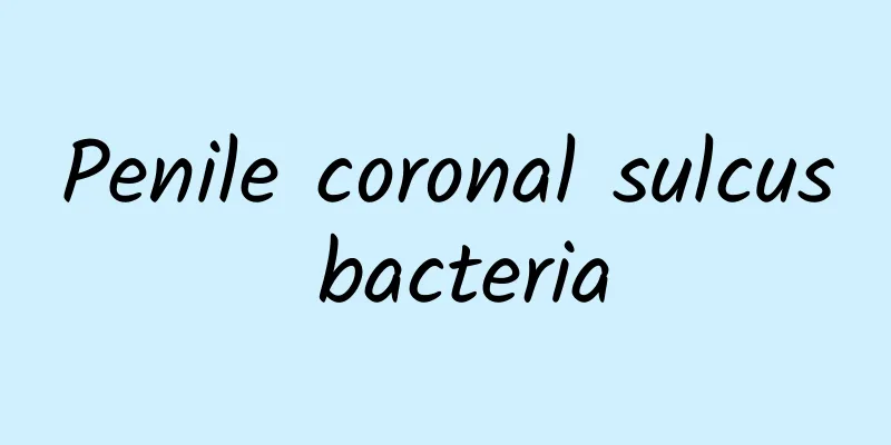 Penile coronal sulcus bacteria