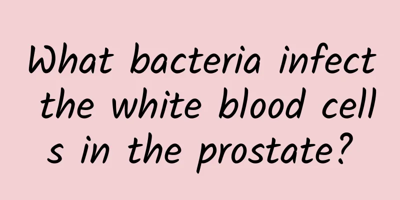 What bacteria infect the white blood cells in the prostate?