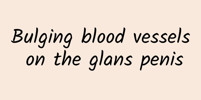 Bulging blood vessels on the glans penis