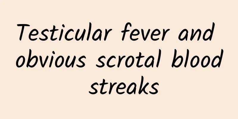 Testicular fever and obvious scrotal blood streaks