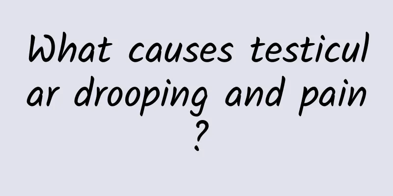 What causes testicular drooping and pain?