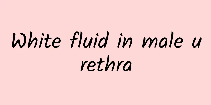 White fluid in male urethra