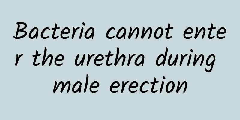 Bacteria cannot enter the urethra during male erection