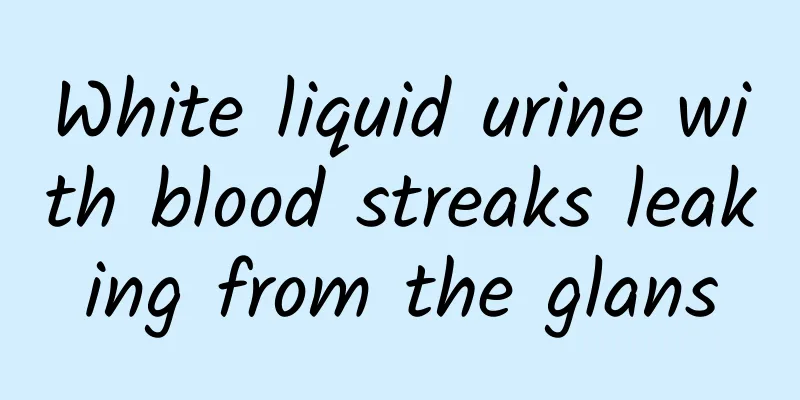 White liquid urine with blood streaks leaking from the glans