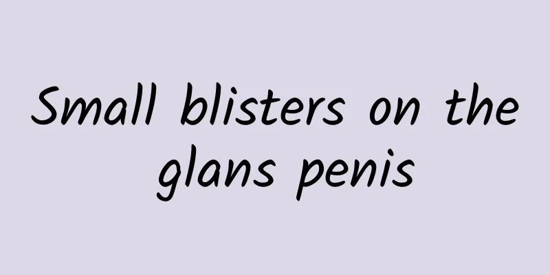 Small blisters on the glans penis