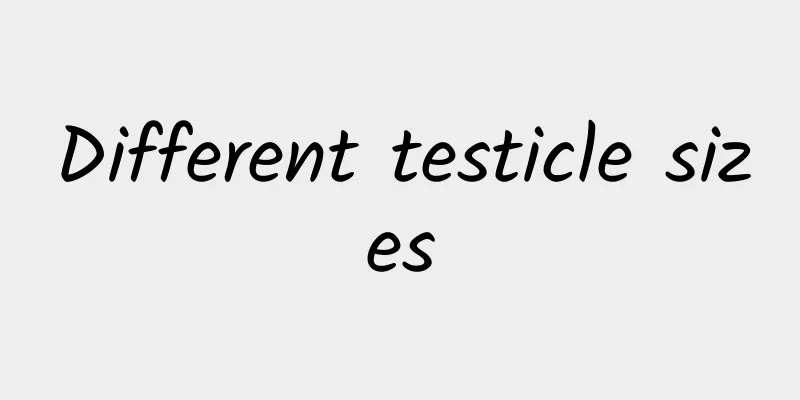 Different testicle sizes