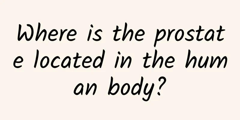 Where is the prostate located in the human body?