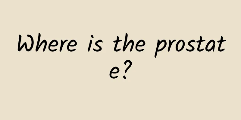 Where is the prostate?