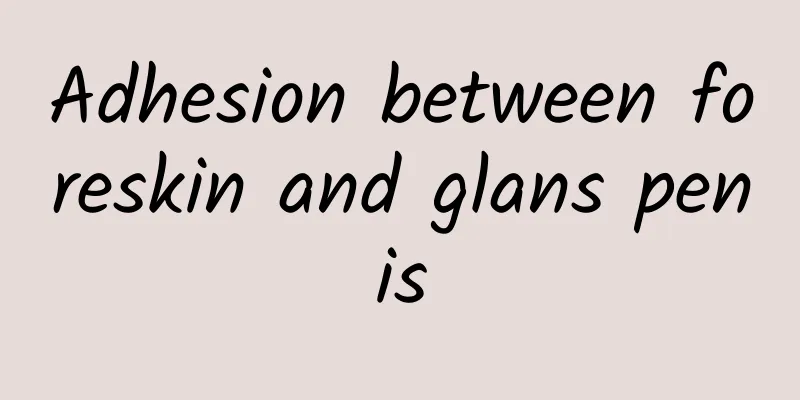 Adhesion between foreskin and glans penis