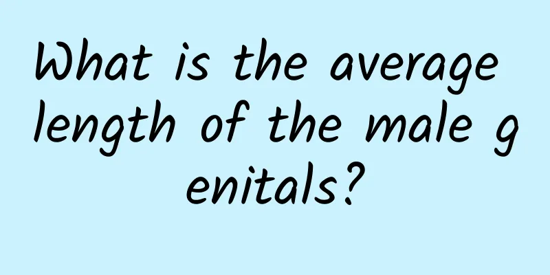 What is the average length of the male genitals?