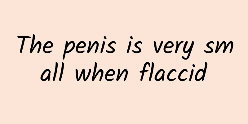 The penis is very small when flaccid