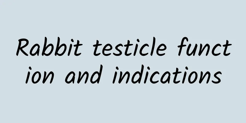 Rabbit testicle function and indications