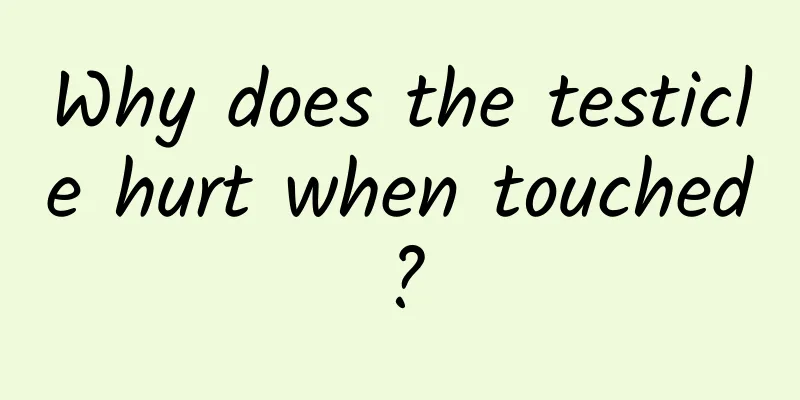 Why does the testicle hurt when touched?