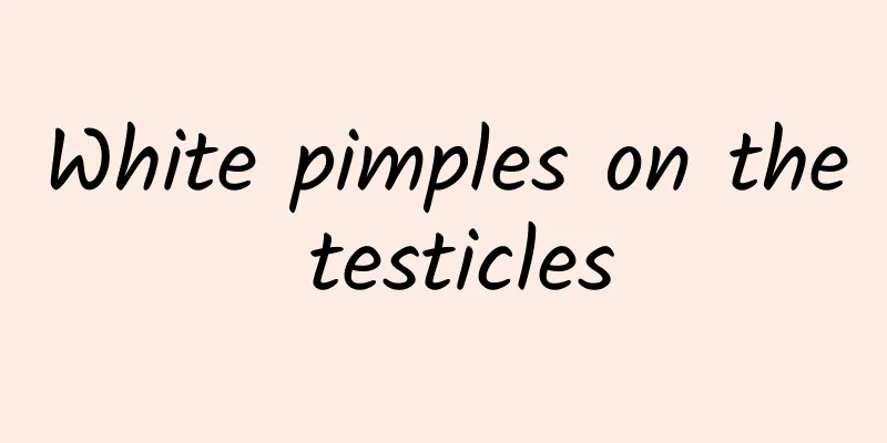 White pimples on the testicles