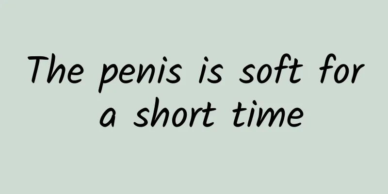 The penis is soft for a short time