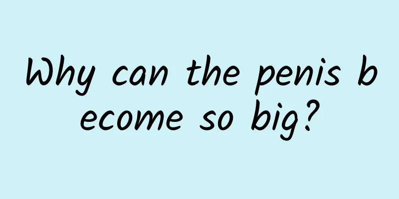 Why can the penis become so big?