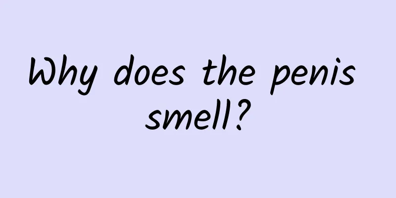 Why does the penis smell?