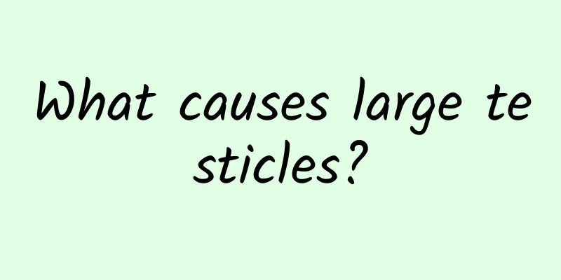 What causes large testicles?