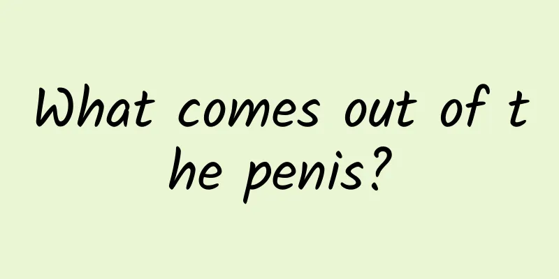 What comes out of the penis?