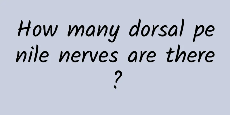 How many dorsal penile nerves are there?