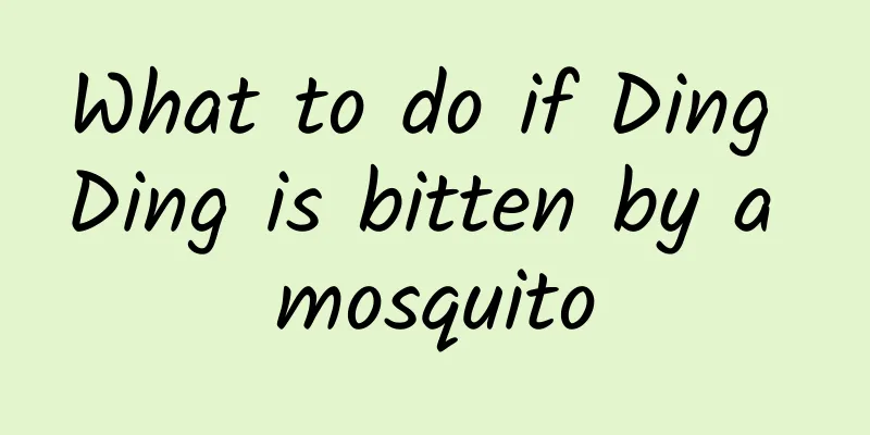 What to do if Ding Ding is bitten by a mosquito