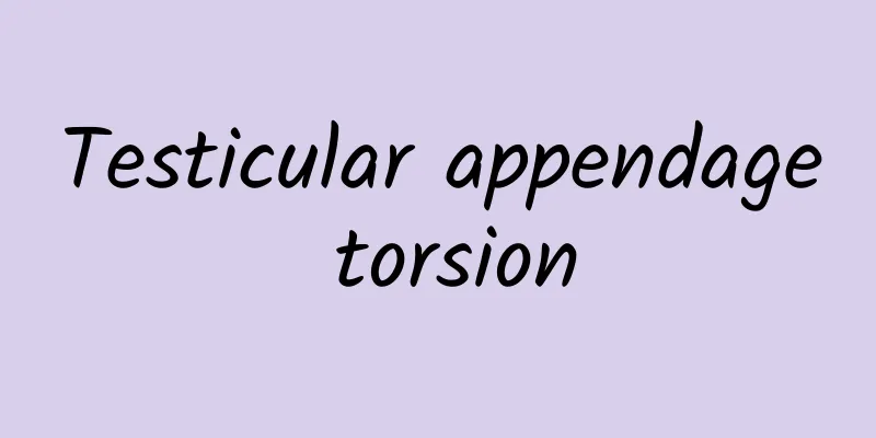 Testicular appendage torsion