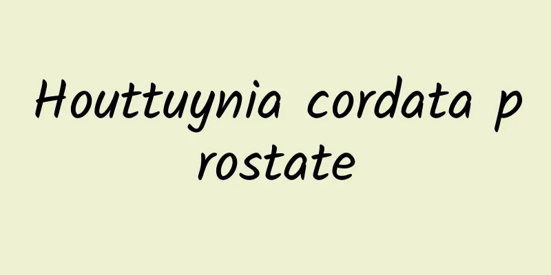 Houttuynia cordata prostate