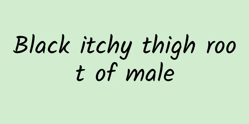Black itchy thigh root of male