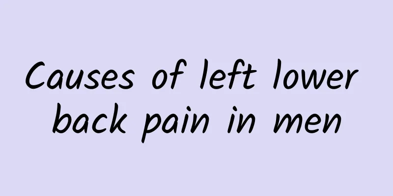 Causes of left lower back pain in men
