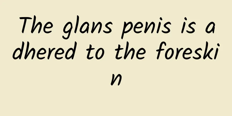 The glans penis is adhered to the foreskin