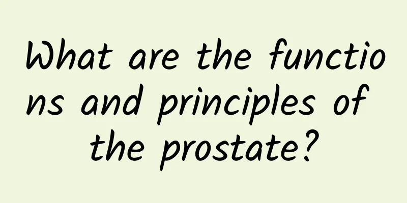 What are the functions and principles of the prostate?