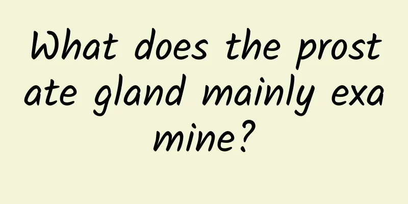 What does the prostate gland mainly examine?