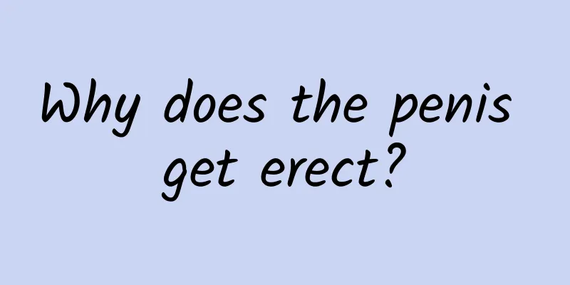 Why does the penis get erect?