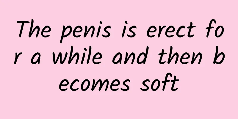 The penis is erect for a while and then becomes soft