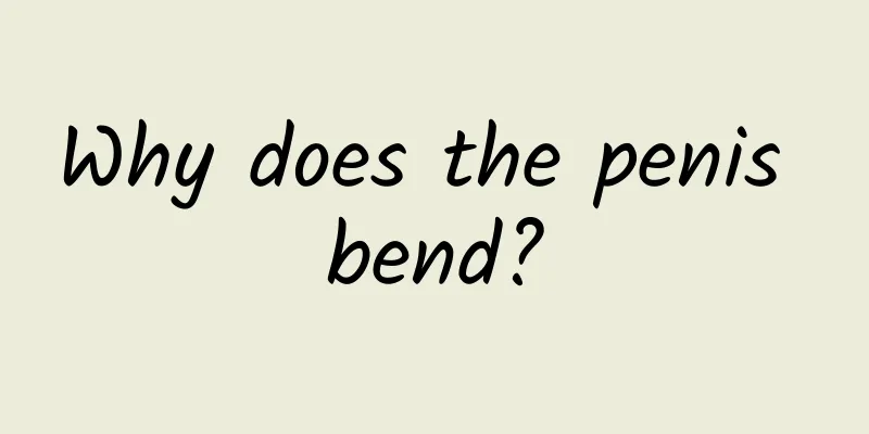 Why does the penis bend?
