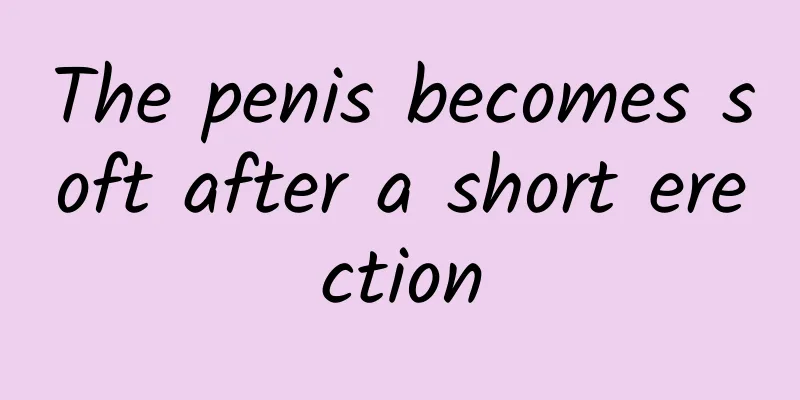The penis becomes soft after a short erection