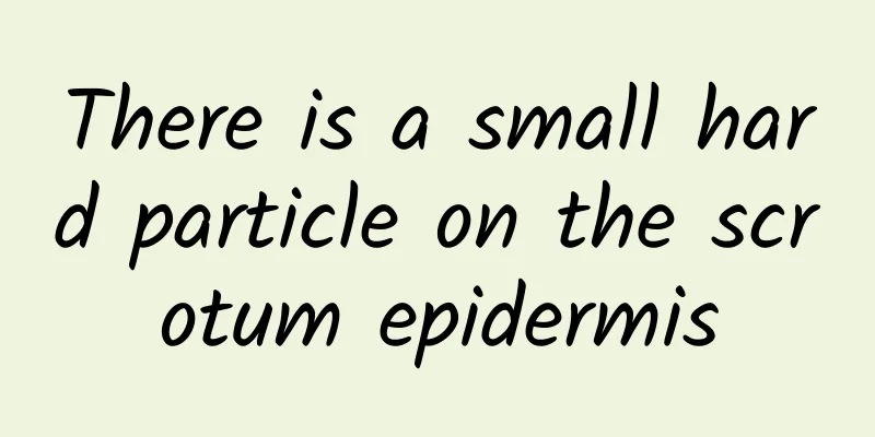 There is a small hard particle on the scrotum epidermis