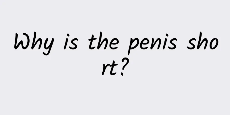 Why is the penis short?