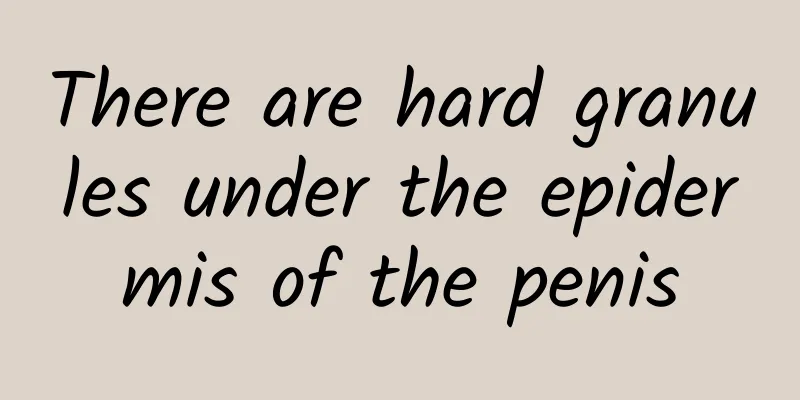 There are hard granules under the epidermis of the penis