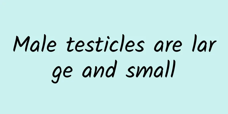 Male testicles are large and small