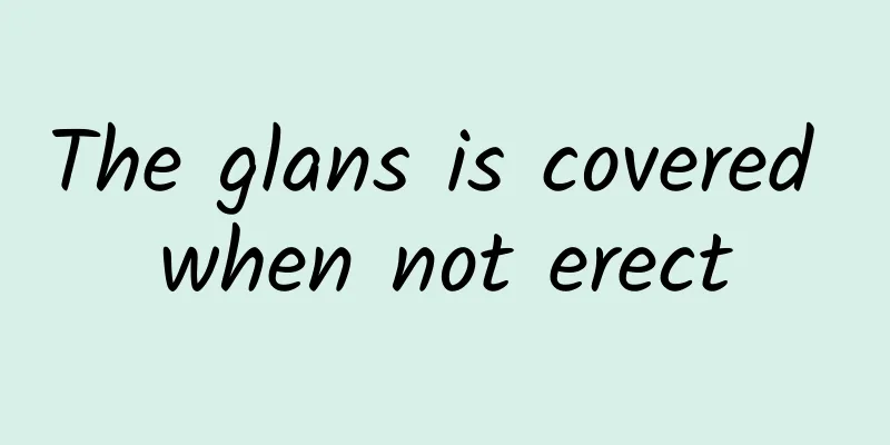 The glans is covered when not erect