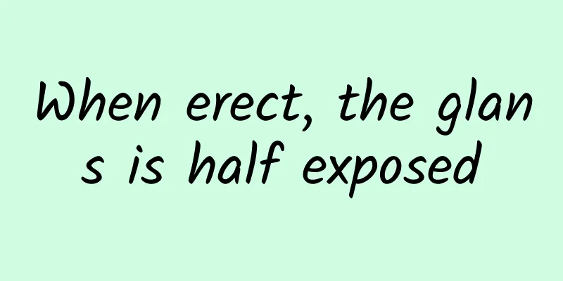 When erect, the glans is half exposed