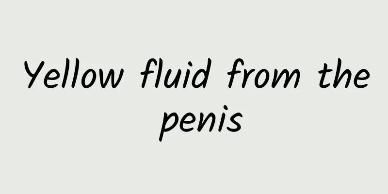 Yellow fluid from the penis