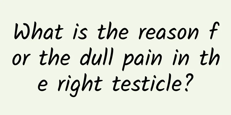 What is the reason for the dull pain in the right testicle?