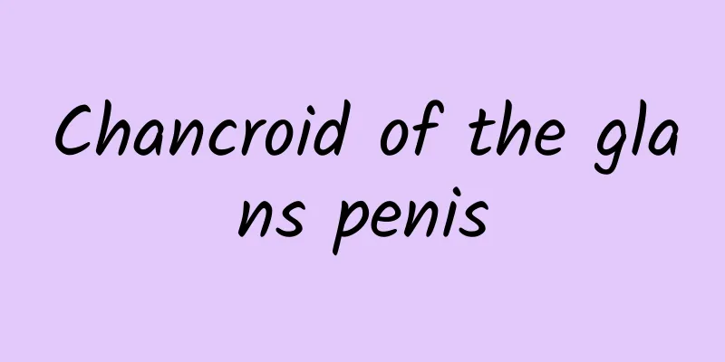Chancroid of the glans penis