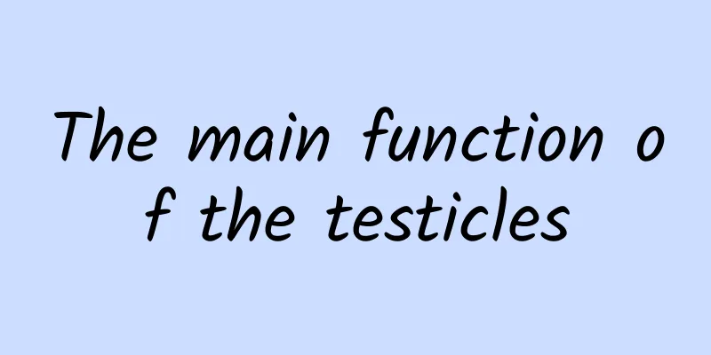 The main function of the testicles