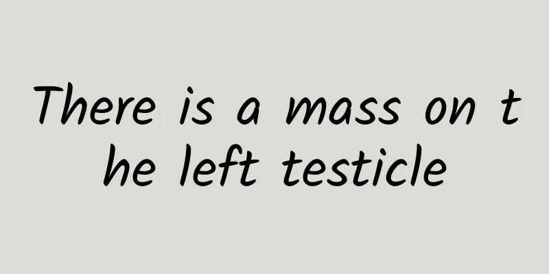 There is a mass on the left testicle