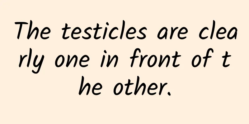 The testicles are clearly one in front of the other.