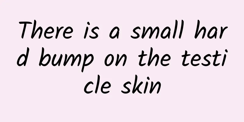 There is a small hard bump on the testicle skin