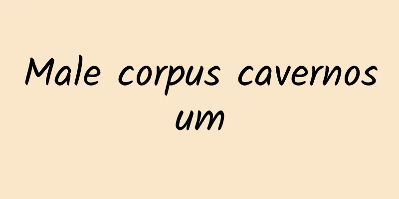 Male corpus cavernosum